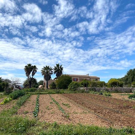 Finca Hotel Ses Cases Noves Sant Llorenc Des Cardassar Eksteriør bilde