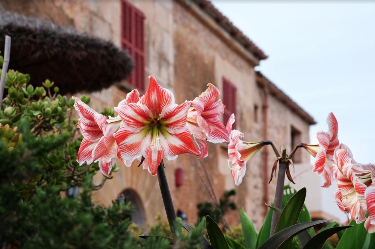 Finca Hotel Ses Cases Noves Sant Llorenc Des Cardassar Eksteriør bilde