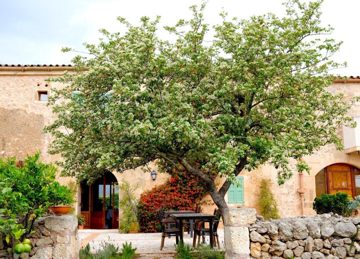 Finca Hotel Ses Cases Noves Sant Llorenc Des Cardassar Eksteriør bilde
