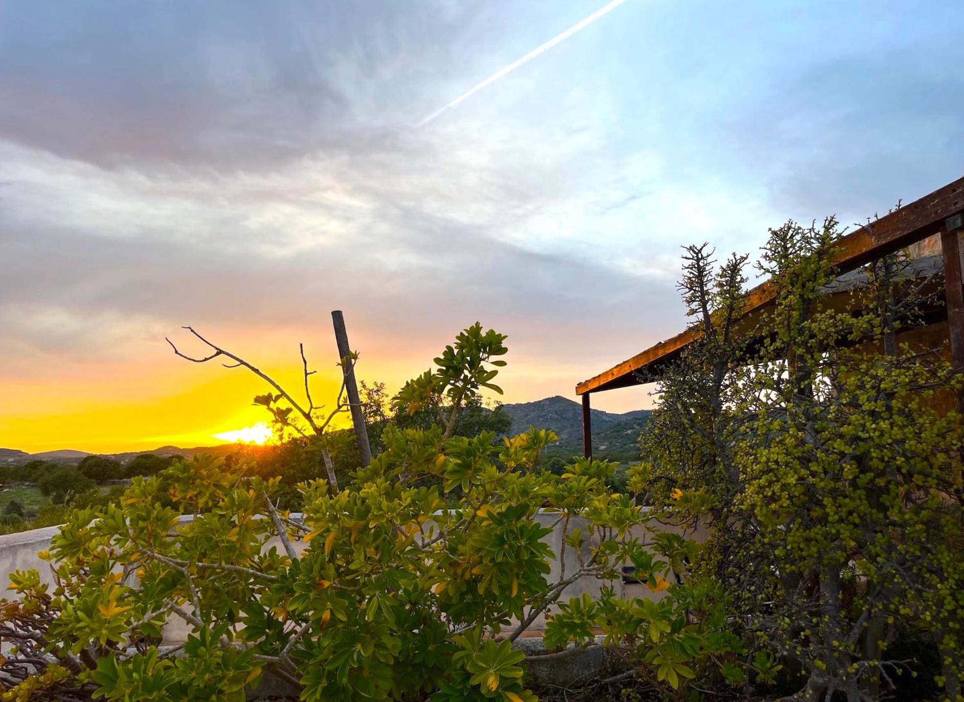 Finca Hotel Ses Cases Noves Sant Llorenc Des Cardassar Eksteriør bilde