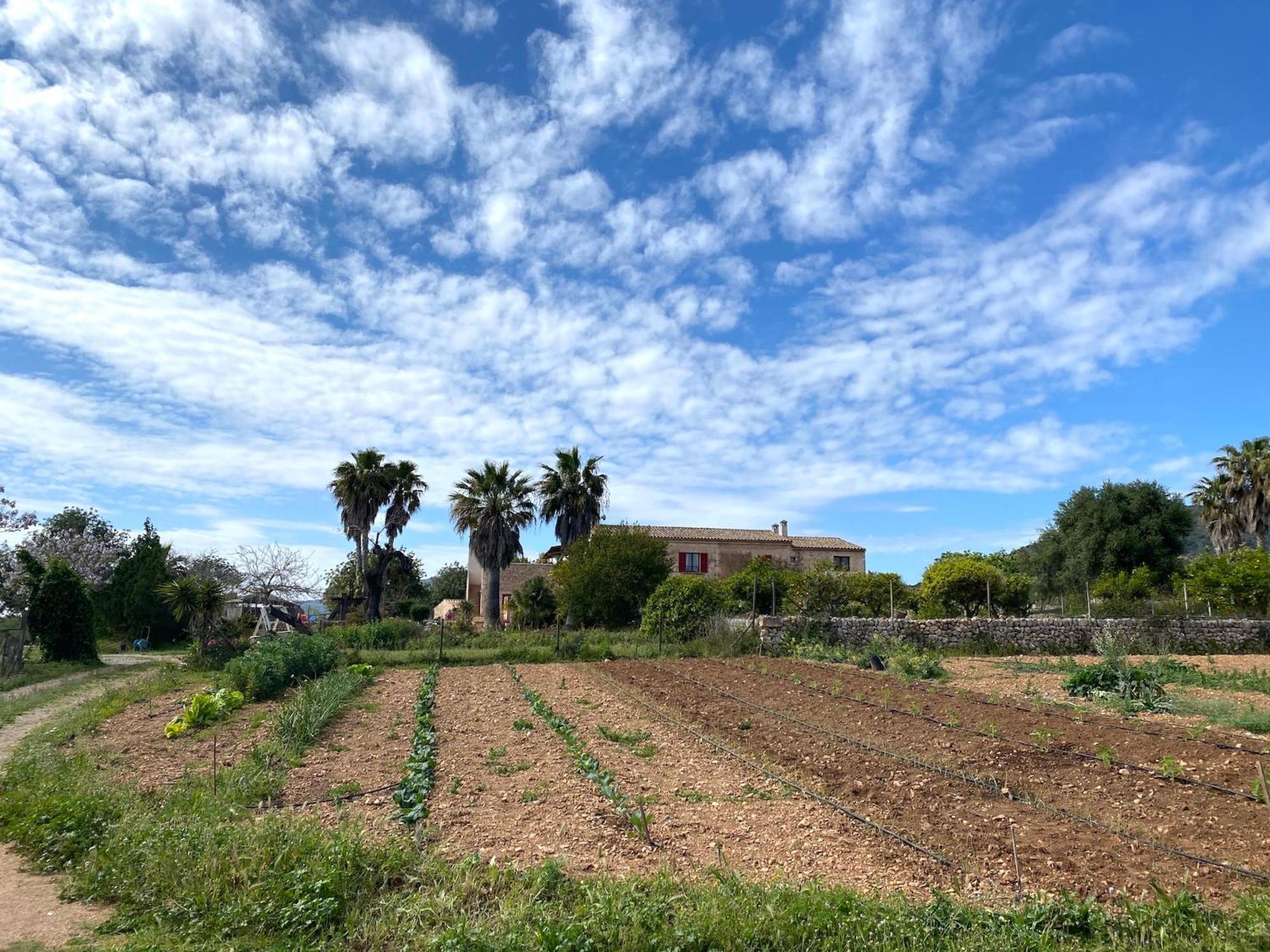 Finca Hotel Ses Cases Noves Sant Llorenc Des Cardassar Eksteriør bilde